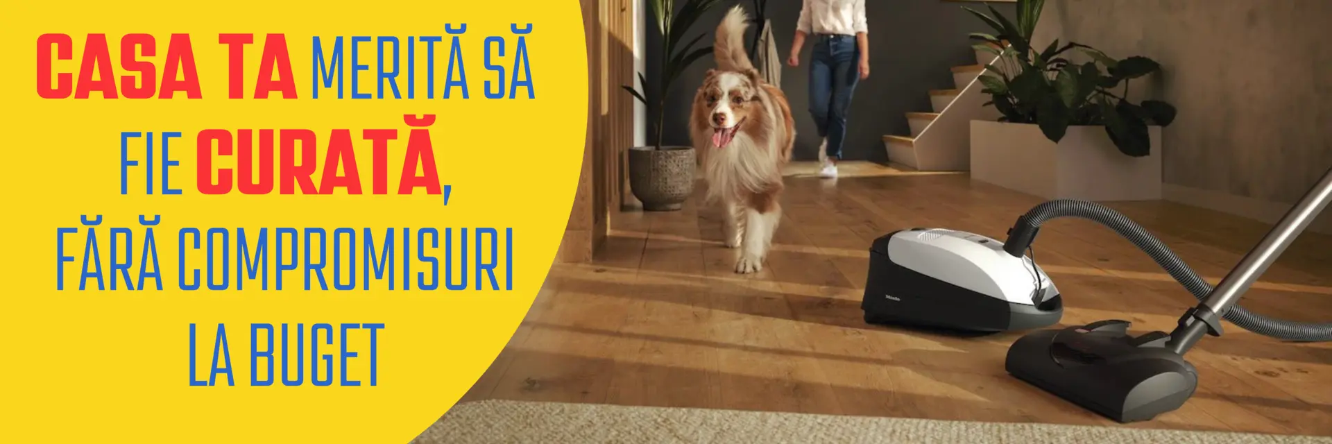 Casa ta merită să fie curată fără compromisuri la buget!