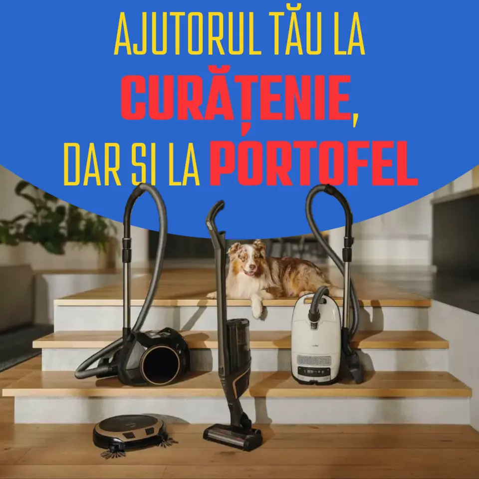 Ajutorul tău la curățenie, dar și la portofel